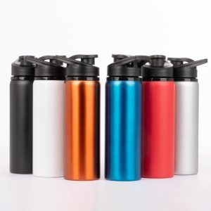 Botella de Acero Inoxidable «APIA» 750cc