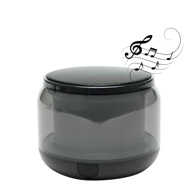 Parlante Altavoz Bluetooth «FLASH»