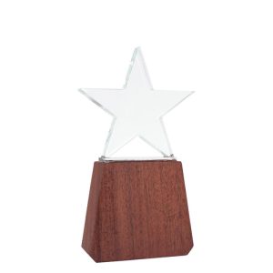 Trofeo de Madera y Cristal «Lonely Star»